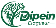 elagage-artisan-dipein